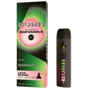 Guava Hybrid Flavors - Burn Hemp Lava Blend Disposable 2G