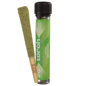 Honeydew Haze Sativa Flavors - Torch Hashhole THC-A Pre Roll | 2G