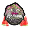 Watermelon Wonder Flavors Tre House Magic Mushroom Gummies